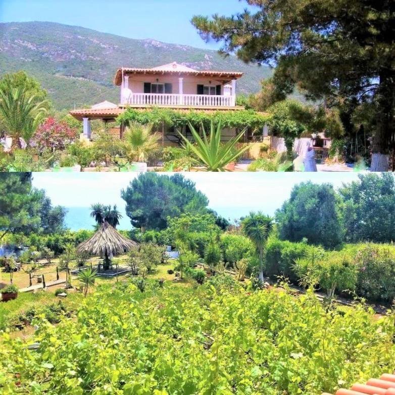 Tetraktys Estate Beachside Υδωρ Άγιος Ματθαίος Εξωτερικό φωτογραφία