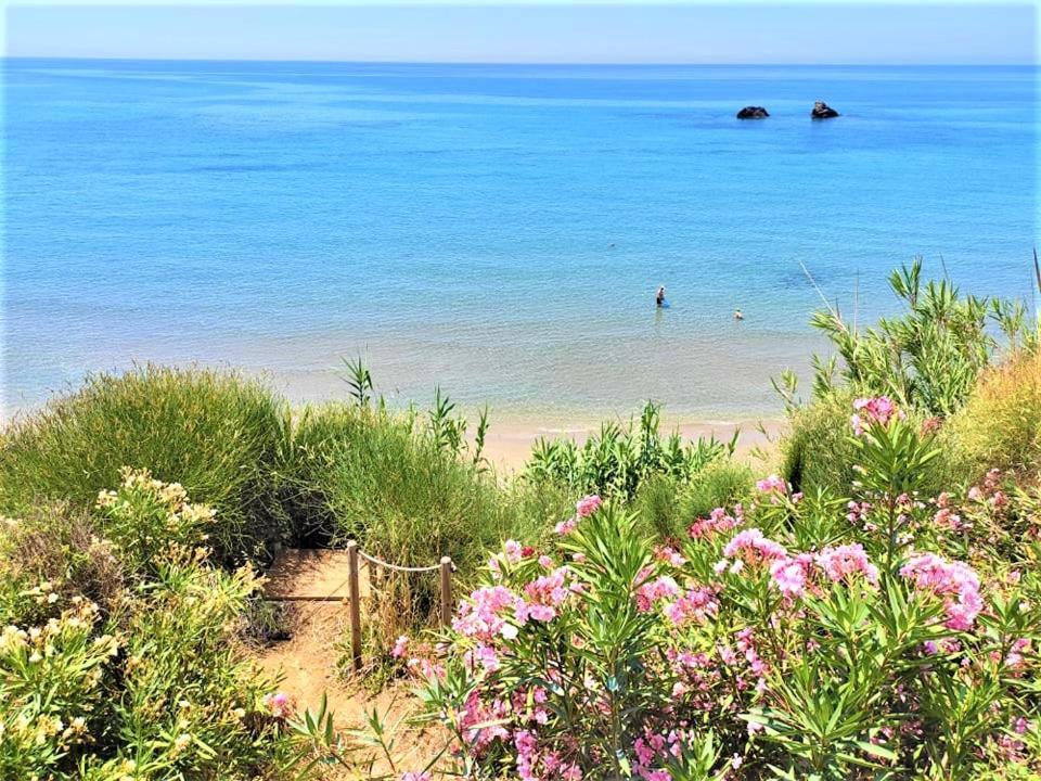 Tetraktys Estate Beachside Υδωρ Άγιος Ματθαίος Εξωτερικό φωτογραφία