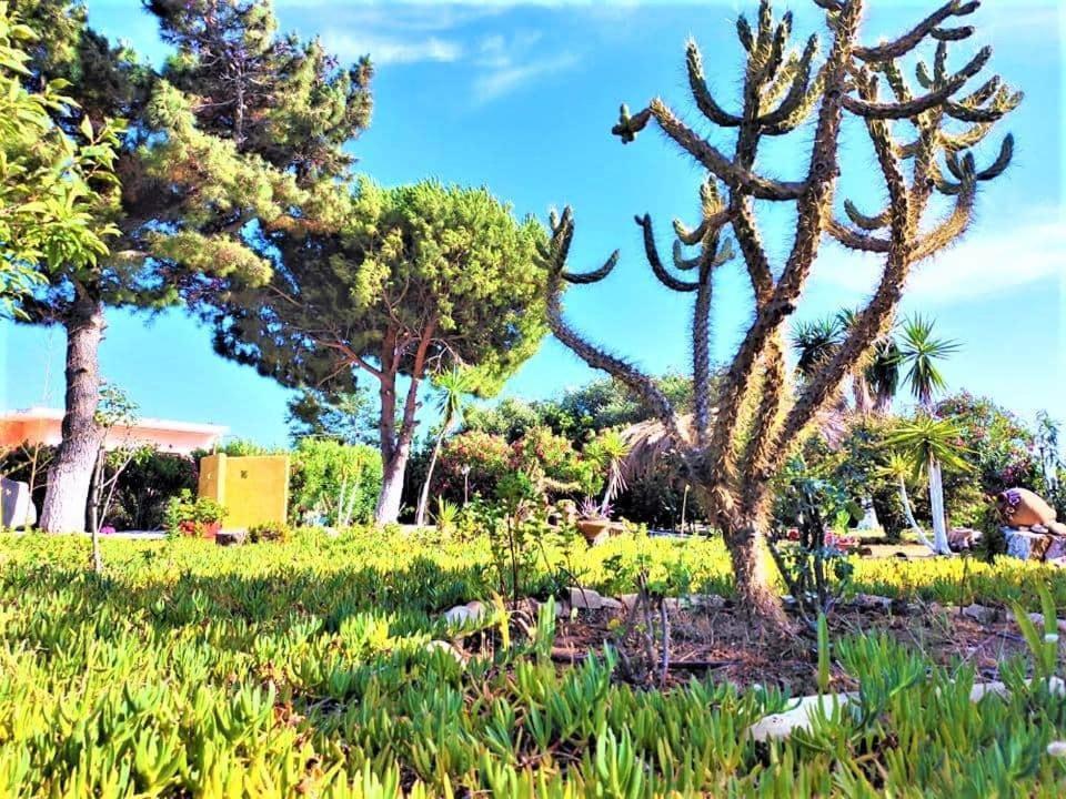 Tetraktys Estate Beachside Υδωρ Άγιος Ματθαίος Εξωτερικό φωτογραφία