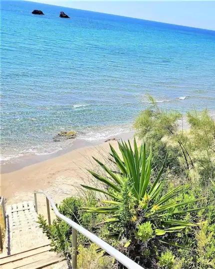Tetraktys Estate Beachside Υδωρ Άγιος Ματθαίος Εξωτερικό φωτογραφία