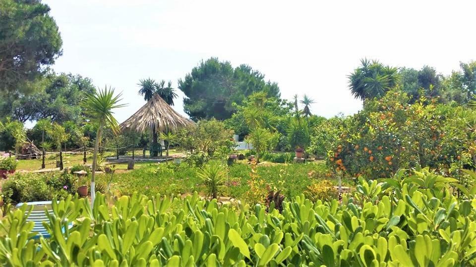Tetraktys Estate Beachside Υδωρ Άγιος Ματθαίος Εξωτερικό φωτογραφία